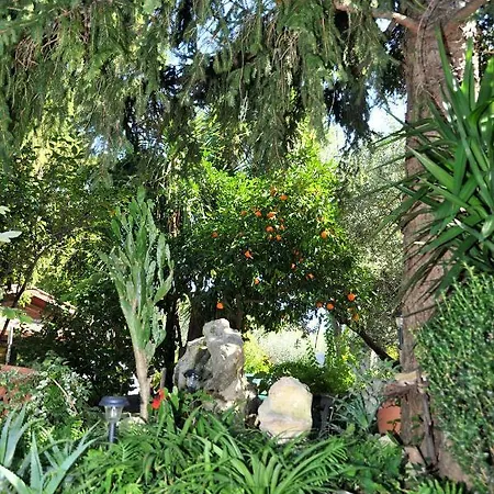 לינה וארוחת בוקר Casa Pontecorvi ולטרי