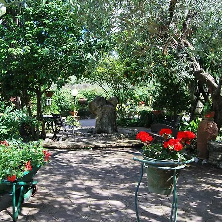Bed & Breakfast Casa Pontecorvi