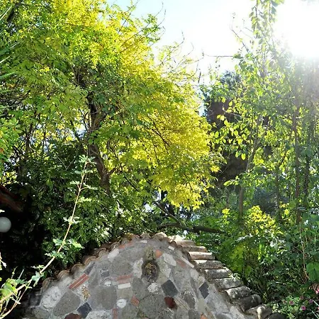 Casa Pontecorvi ולטרי