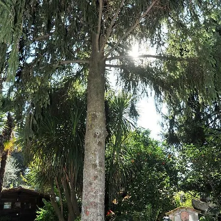 לינה וארוחת בוקר Casa Pontecorvi ולטרי