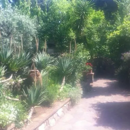 Casa Pontecorvi Bed & Breakfast Velletri